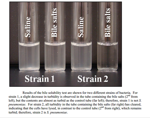 Sodium deoxycholate solubility