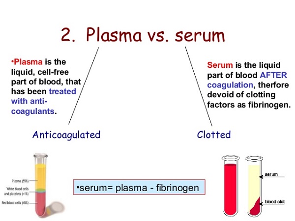 Plasma vs. serum
